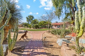 Un camino pavimentado que lleva a un edificio con tejado rojo, rodeado de cactus y árboles.