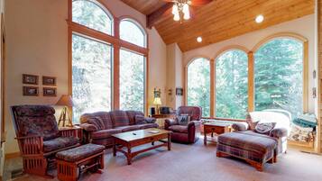 Télévision, cheminée, chaßne hi-fi