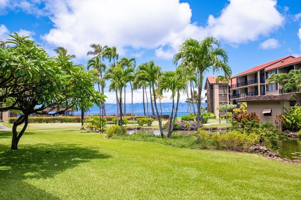 Property grounds - Charming 2bd, 1st-level condo at oceanfront resort (Lahaina)