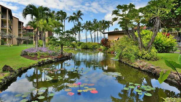 Property grounds - Charming 2bd, 1st-level condo at oceanfront resort (Lahaina)