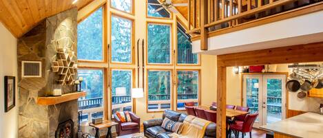 Televisión, chimenea, reproductor de DVD y libros