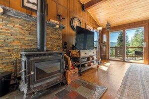 TV, fireplace, DVD player, books