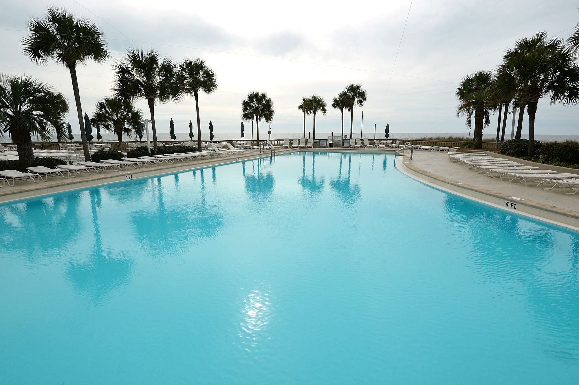 A large, clear swimming pool with lounge chairs and palm trees, surrounded by a fence and a view of the ocean.
