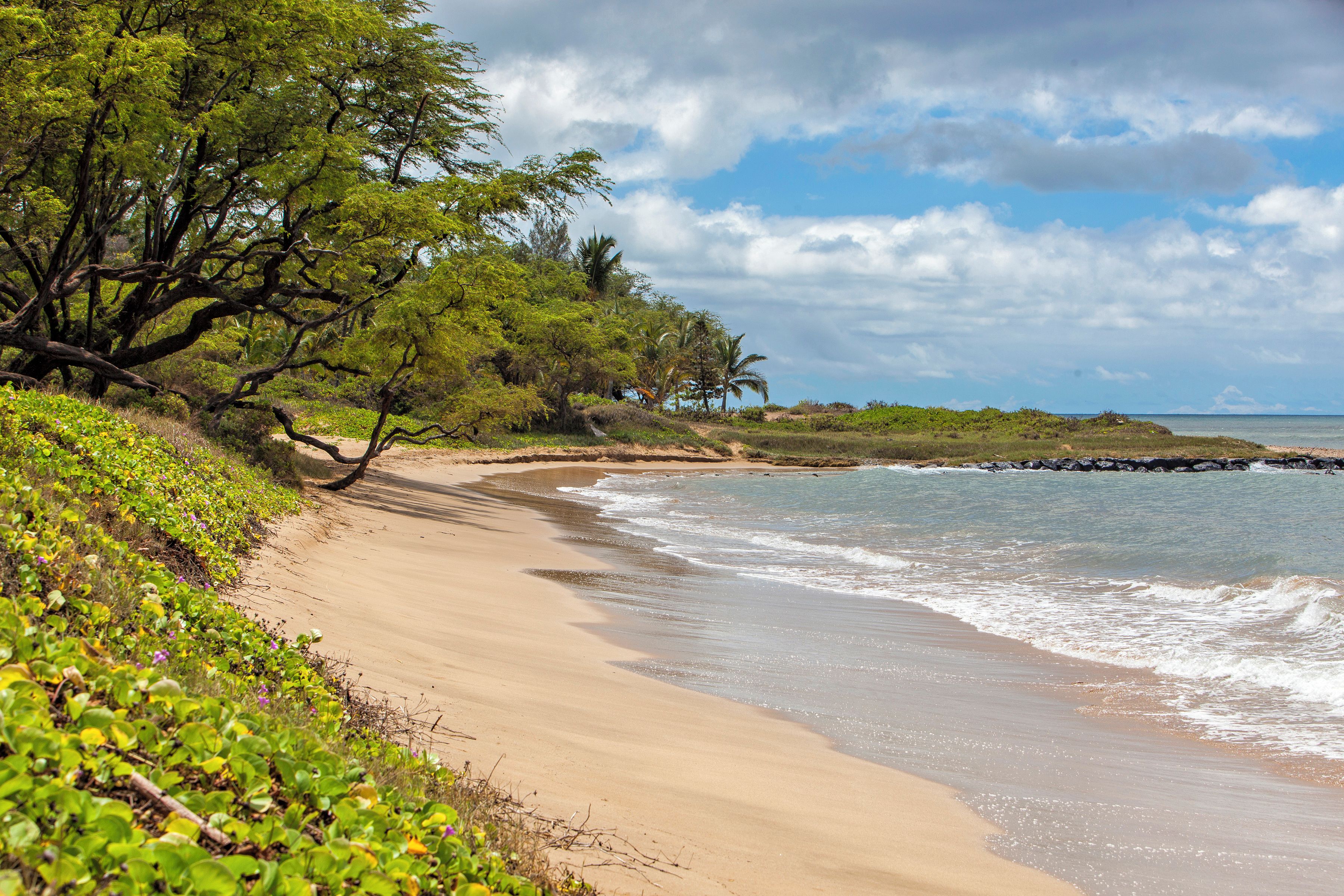 A beach with a sandy shore, waves, and dense greenery including trees and shrubs.