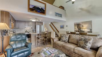 Télévision, cheminée, lecteur de DVD, livres