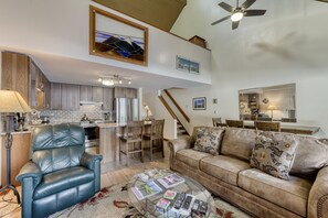 Télévision, cheminée, lecteur de DVD, livres