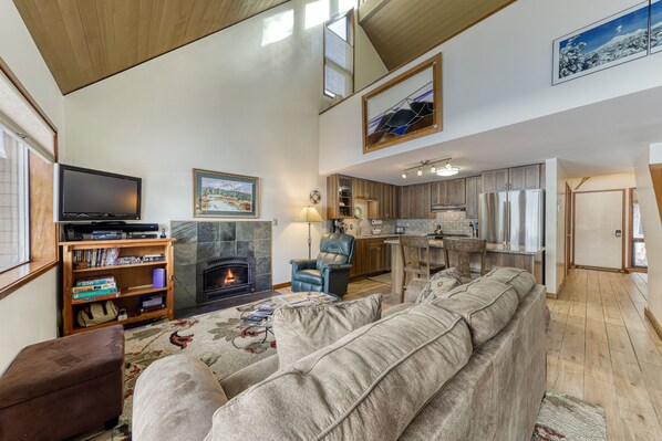 Télévision, cheminée, lecteur de DVD, livres