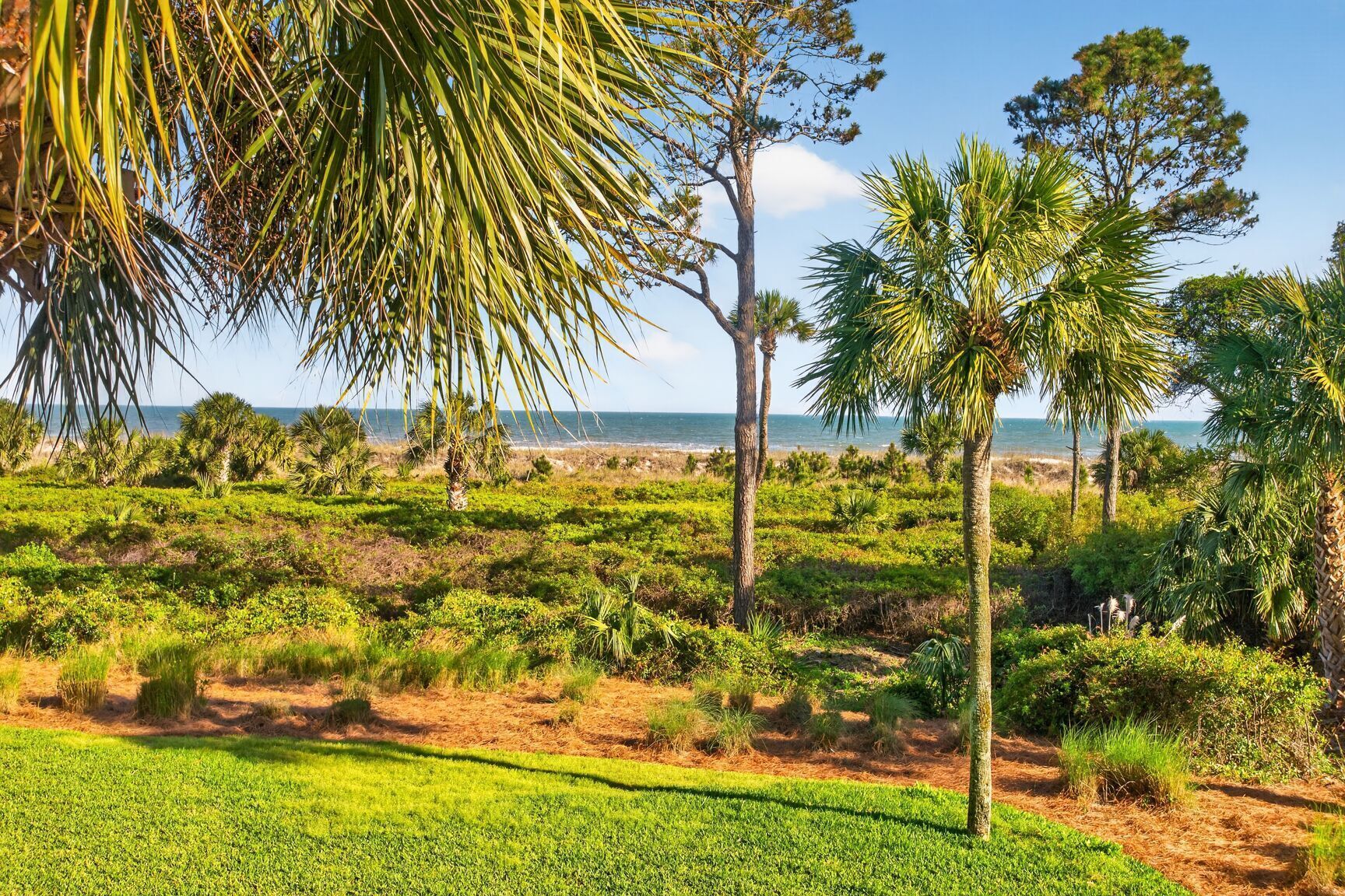 Un paisaje costero con palmeras, una playa y cielo despejado.