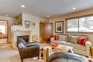 电视、壁炉、DVD 播放器、书