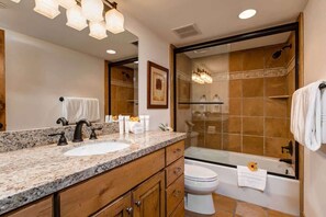 Combined shower/bathtub, hair dryer, shampoo