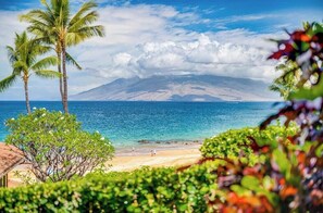 A beach with palm trees and a mountain in the background.