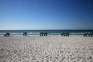 Une plage bordée de rangées de chaises longues et de parasols, un ciel dégagé et l’océan en toile de fond.