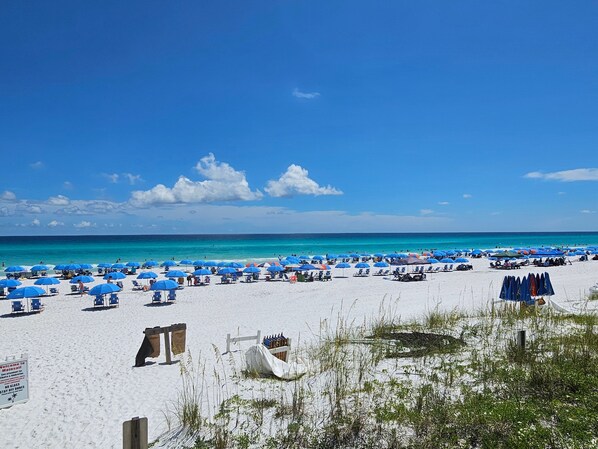 Una playa cerca