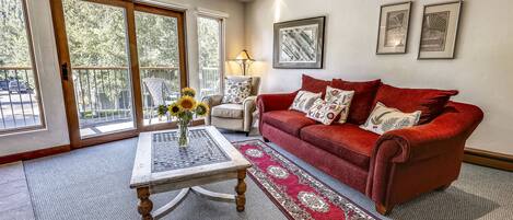 TV, fireplace, DVD player, video library