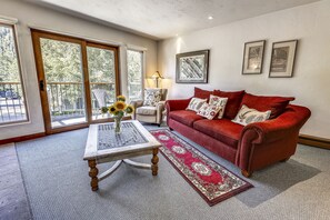 TV, fireplace, DVD player, video library