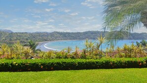 Un paysage côtier offrant une vue dégagée sur la plage et l’océan, bordé d’une végétation luxuriante et de palmiers.