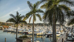 Un port de plaisance où de nombreux bateaux sont amarrés, entouré de palmiers et d'un bâtiment en pierre sur lequel on peut voir une enseigne.