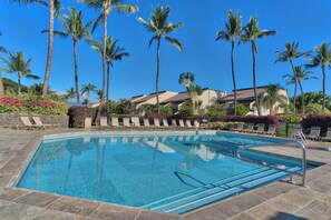 Ein rechteckiger Swimmingpool mit klarem, blauem Wasser, umgeben von Liegestühlen und Palmen.