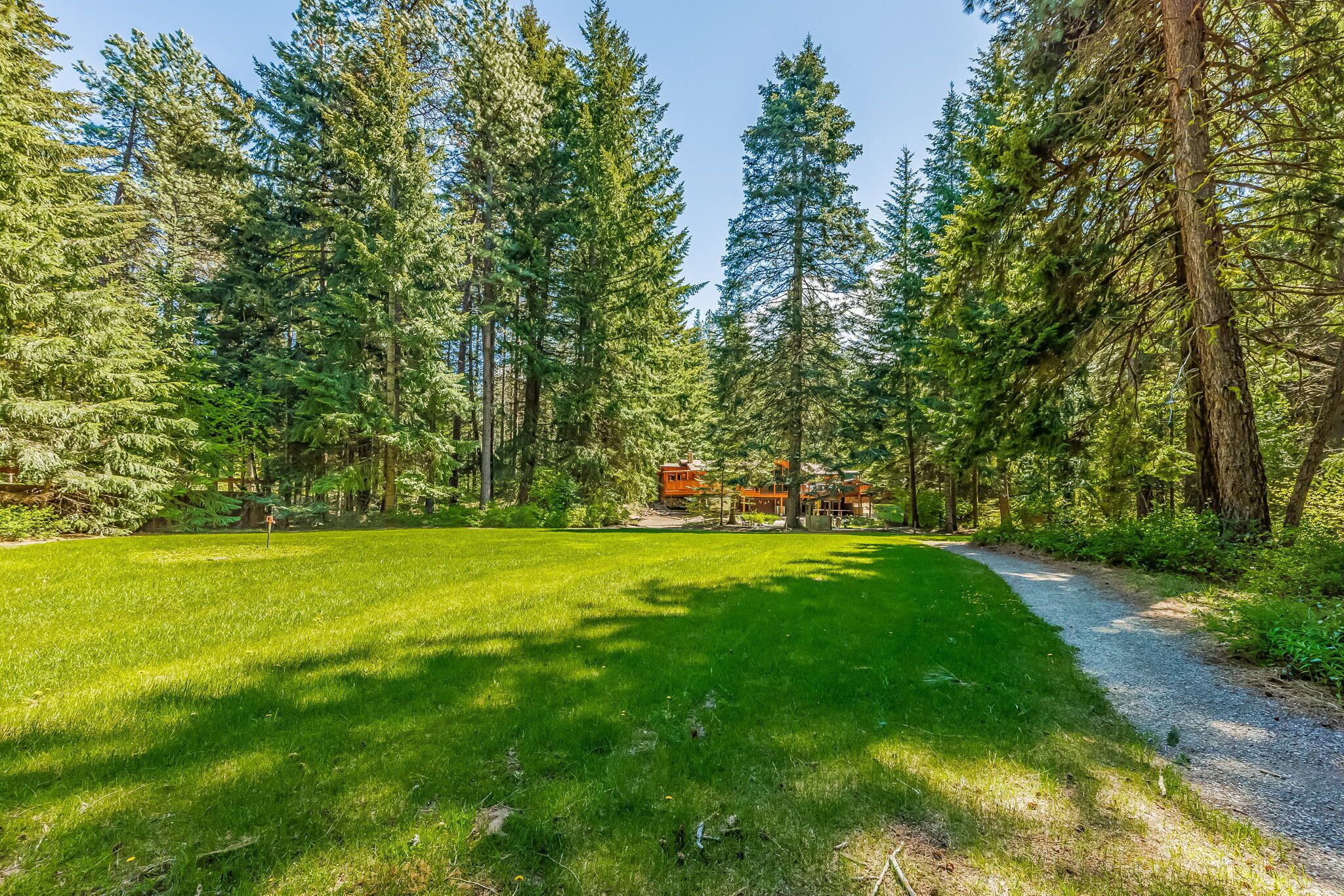A forested area with a gravel path leading to a cabin.