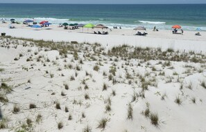 On the beach