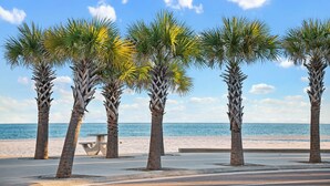 Una playa con palmeras y un banco.