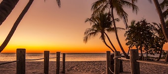 Condo ensoleillé adapté aux chiens avec bain à remous, piscine et tennis communs