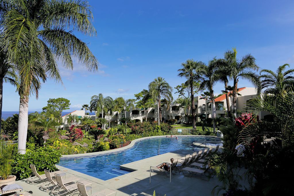 Ein Poolbereich mit Liegestühlen, Palmen und Blick aufs Meer.