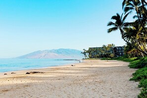 Une plage offrant une vue dégagée sur l’océan et sur une montagne qui se profile à l’horizon. Un immeuble à plusieurs étages se trouve sur la droite, ainsi que des palmiers.