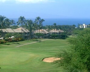 Un parcours de golf offrant une vue dégagée sur l’océan, avec des palmiers en arrière-plan.