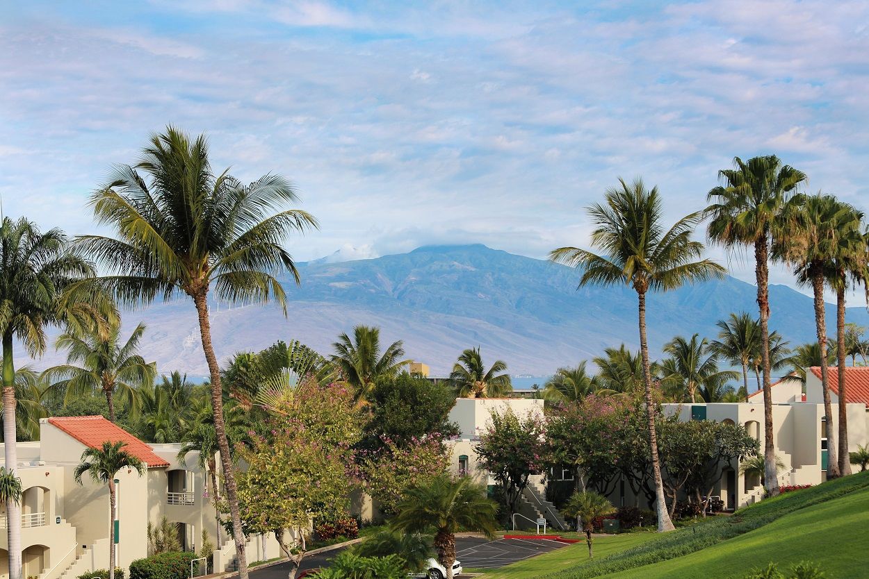 Ein Resort mit Palmen, einem Parkplatz und einem Berg im Hintergrund.