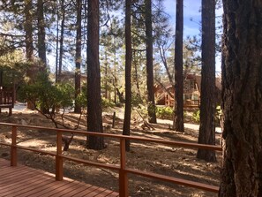 Property grounds - Charming Cabin, Walk to the Slopes, Spa and Pool Table, Pet Friendly! (Big Bear Lake)