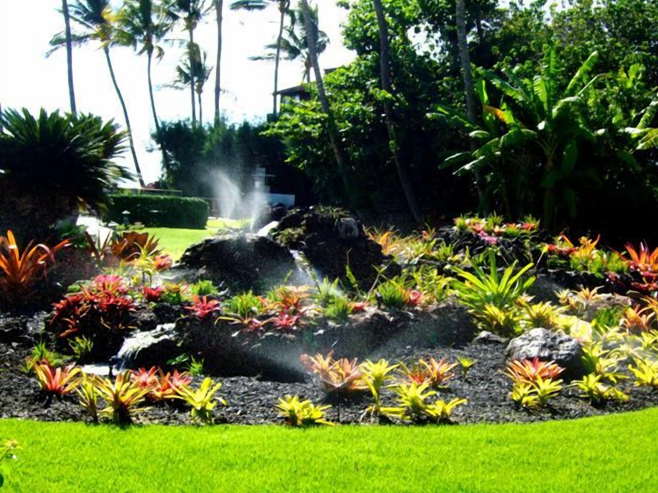 A garden with a water feature, various plants, and a lawn.