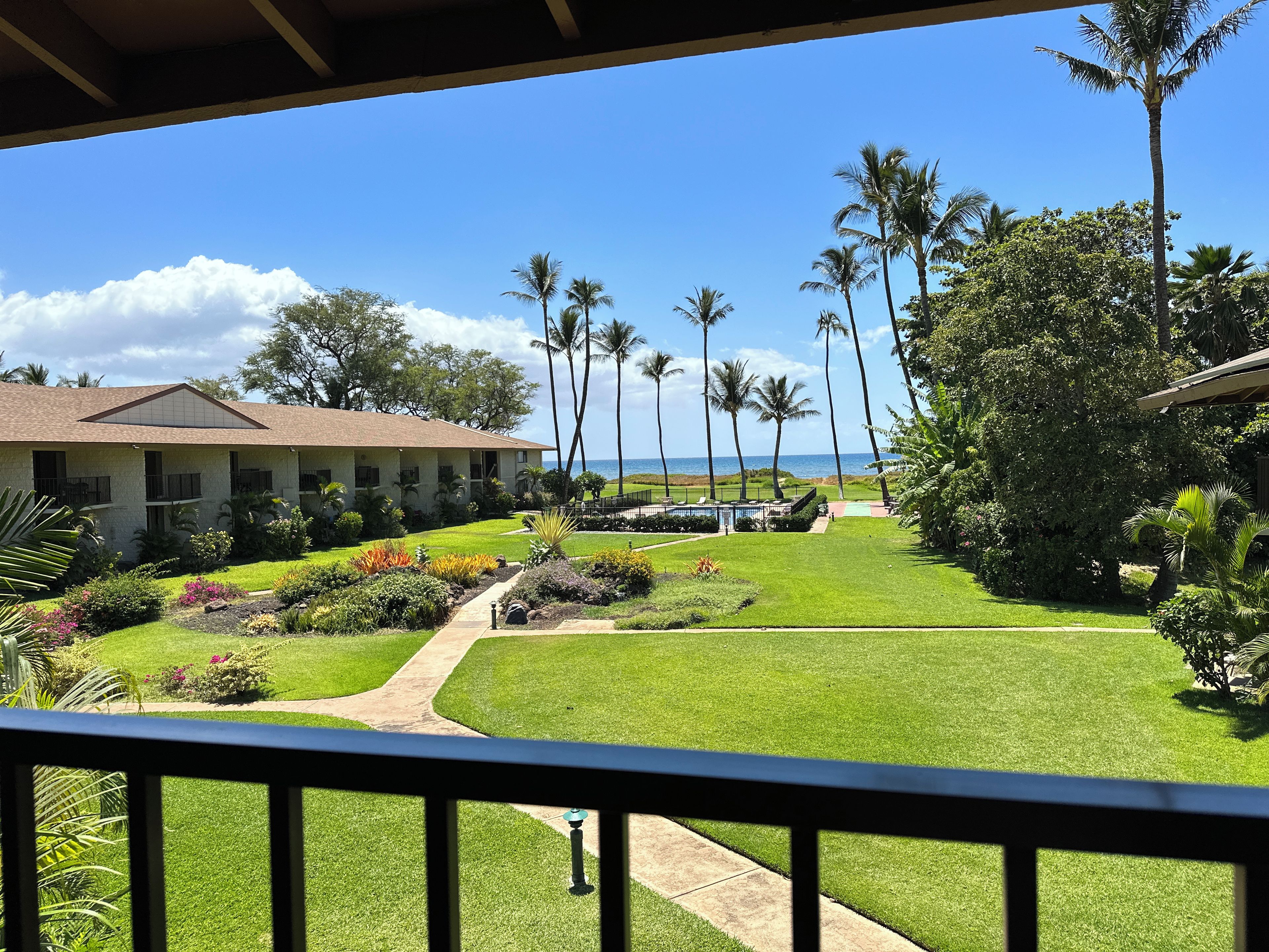 A hotel with a pool, palm trees, and a view of the ocean.