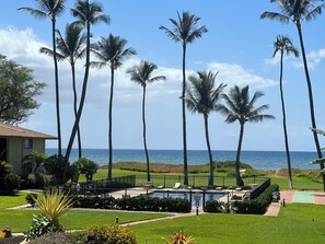 A pool area with a view of the ocean, surrounded by palm trees and a well-maintained lawn.