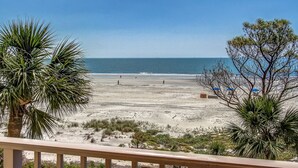 A beach view with palm trees and a clear sky.
