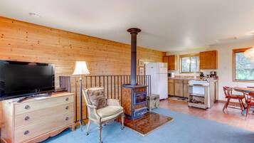 TV, fireplace, DVD player, books