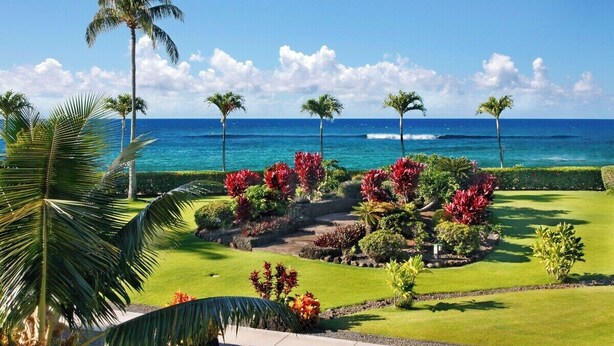 Ein gepflegter Garten mit Palmen und blühenden Pflanzen, einem wolkenlosen, blauen Himmel und dem Meer im Hintergrund.