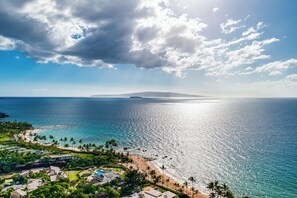 Una località balneare con spiaggia, palme e vista sull'oceano.