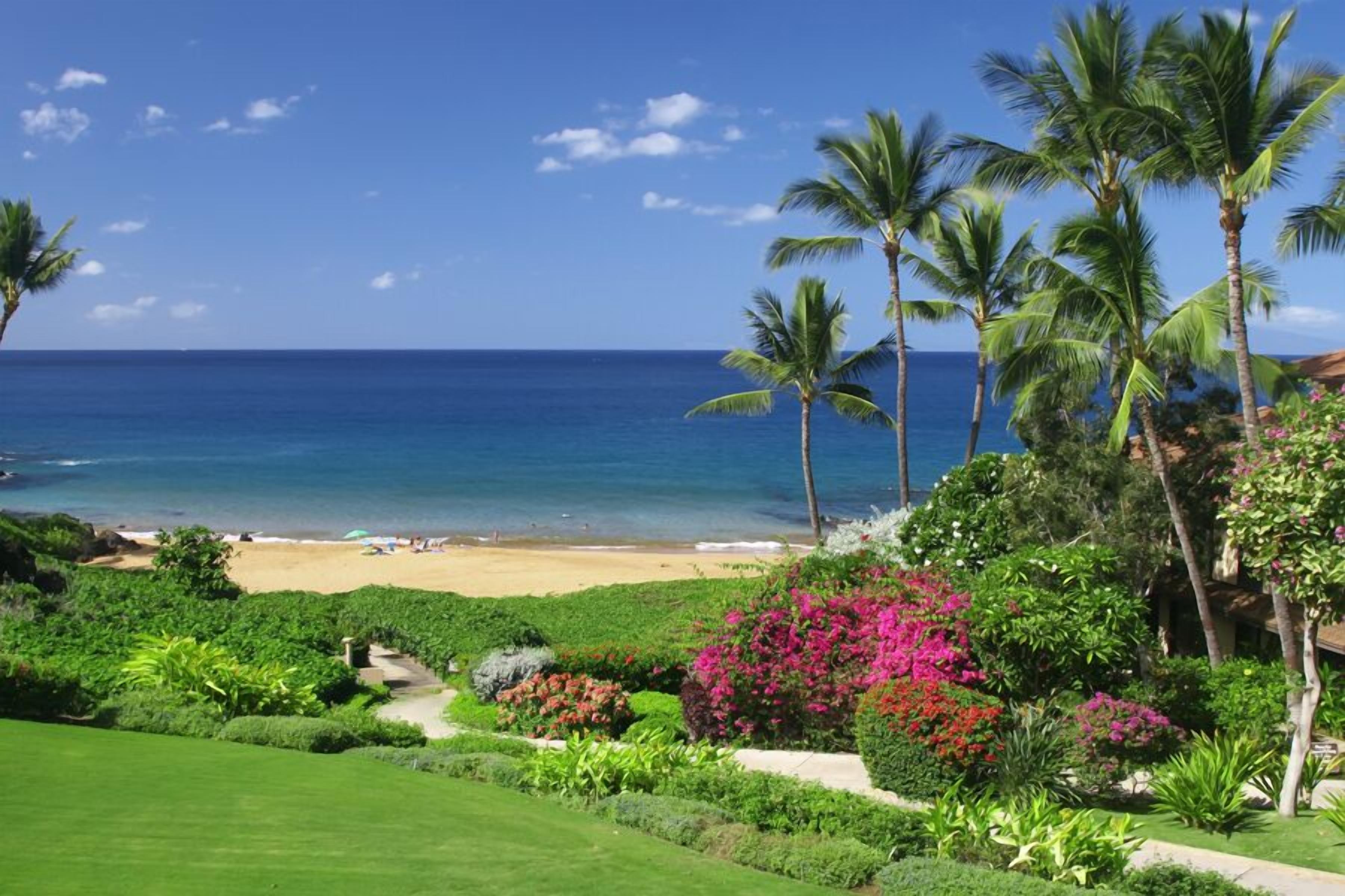 On the beach, sun-loungers, beach towels
