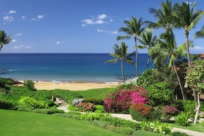 Une plage tropicale bordée de palmiers, une rive sablonneuse et un jardin luxuriant où poussent différentes plantes et fleurs.