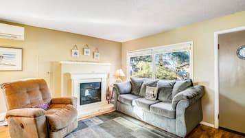 Een televisie, een open haard, een dvd-speler en boeken