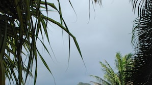 A lush green lawn with palm trees and a mountain in the background. - Hawaiian plantation-style home, perfect for families.  (Hauula)