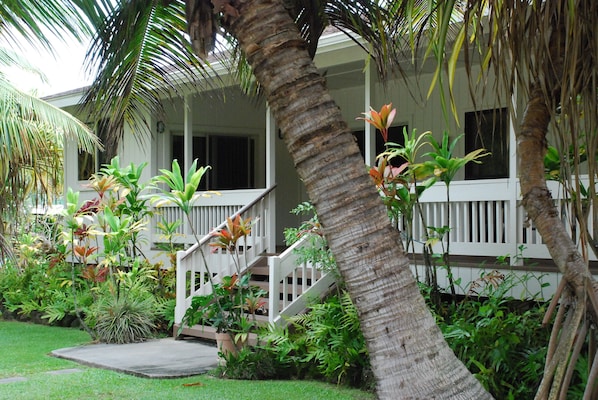 A white house with a porch, surrounded by lush greenery and palm trees.