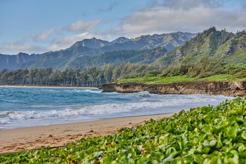 Hawaiian plantation-style home, perfect for families. 