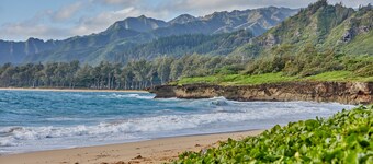 Hawaiian plantage-stil hjem, perfekt til familier eller selskab tilbagetog