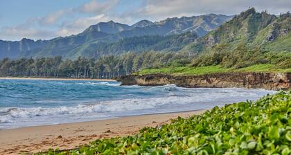 Hawaiian plantation-style home, perfect for families.
