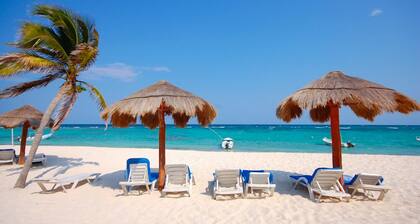 Charming, romantic beachfront studio with a king bed, AC and maid service.