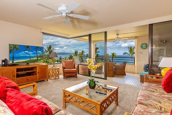 Älytelevisio, DVD-soitin