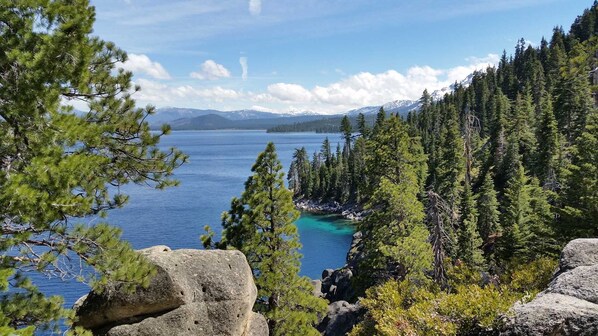 Un lago rodeado de un bosque denso y montañas al fondo.