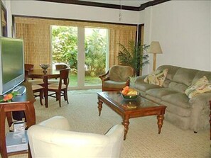 Flat-screen TV, DVD player, video library